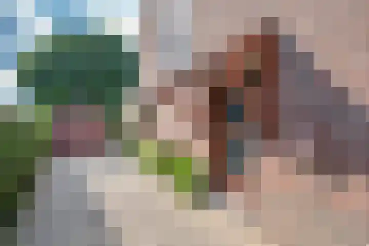van Dolhoffstraat 1 Venlo thumbnail 4