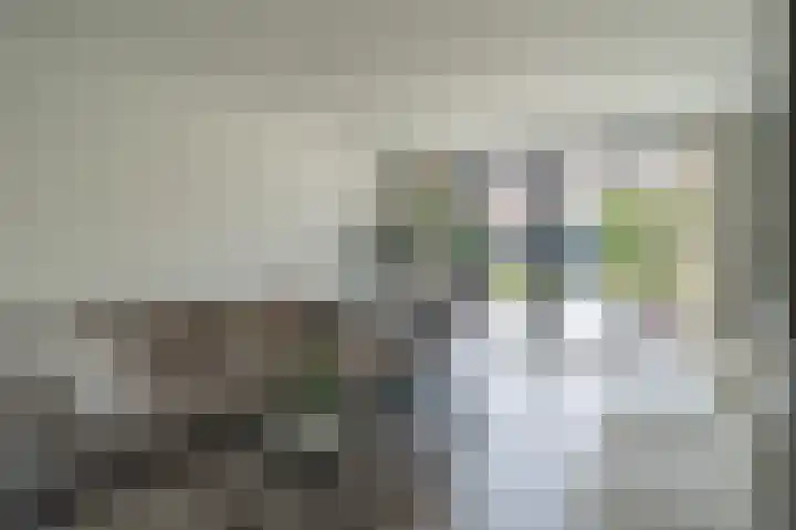 Van Dompselaerstraat 66 Barneveld thumbnail 21