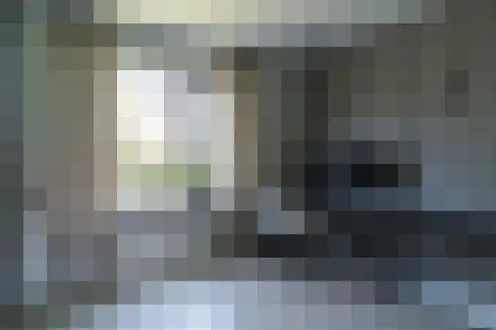 Van Dompselaerstraat 66 Barneveld thumbnail 24