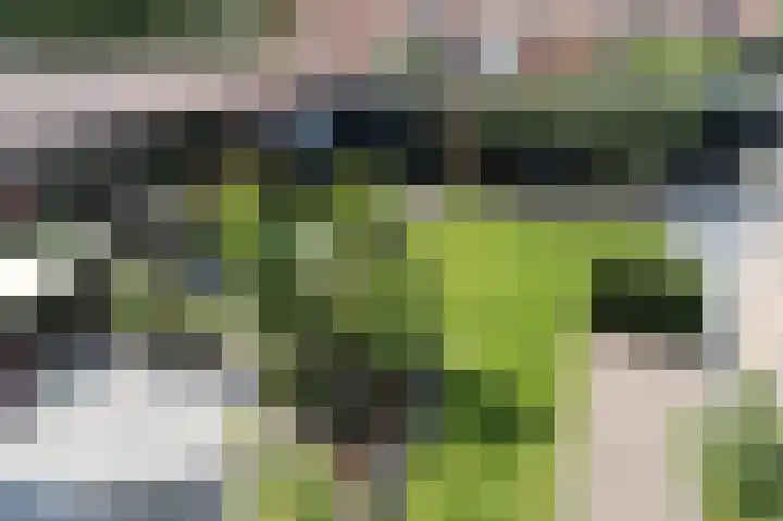Van Dompselaerstraat 66 Barneveld thumbnail 41
