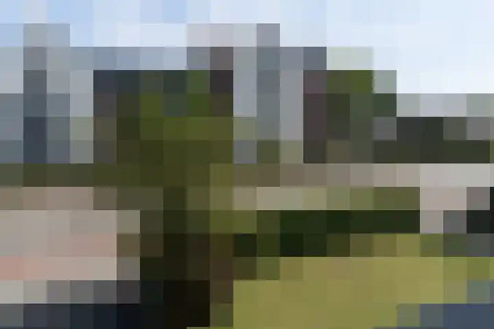 Van Dompselaerstraat 66 Barneveld thumbnail 78