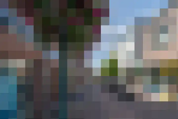 Van Dompselaerstraat 66 Barneveld thumbnail 87