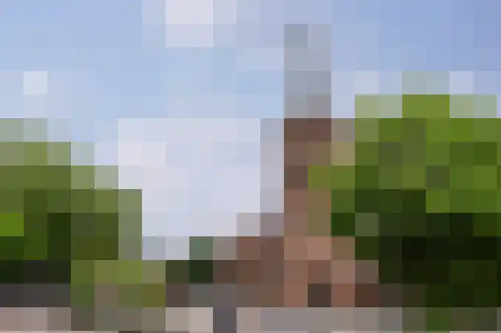Van Dompselaerstraat 66 Barneveld thumbnail 88