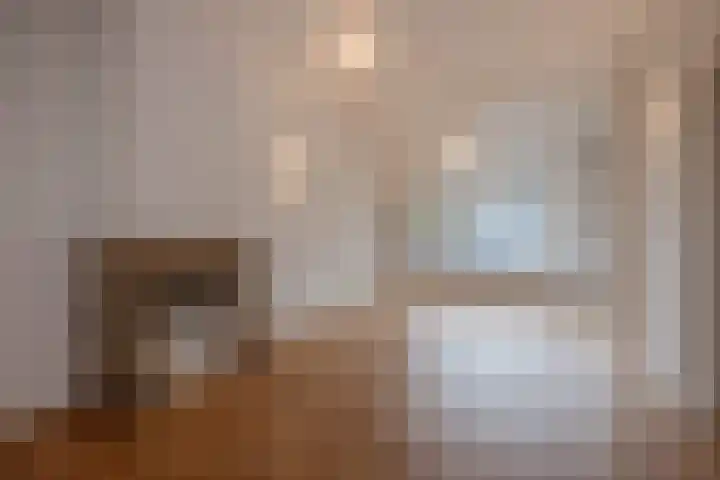 Van Dorpstraat 4 Den Haag thumbnail 12