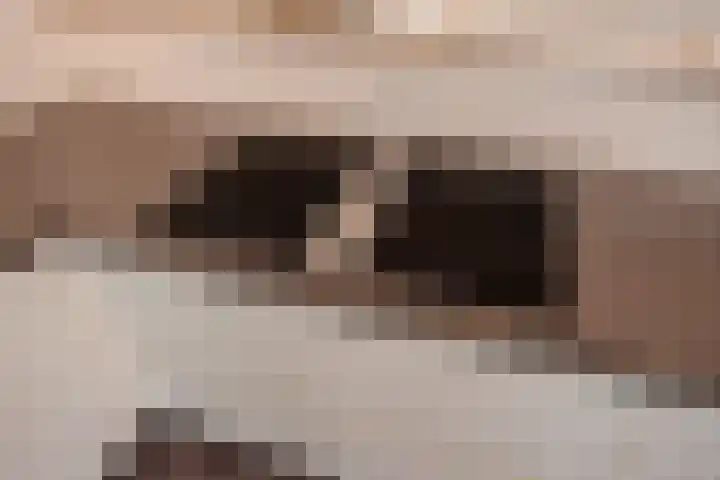 Van Dorpstraat 4 Den Haag thumbnail 25