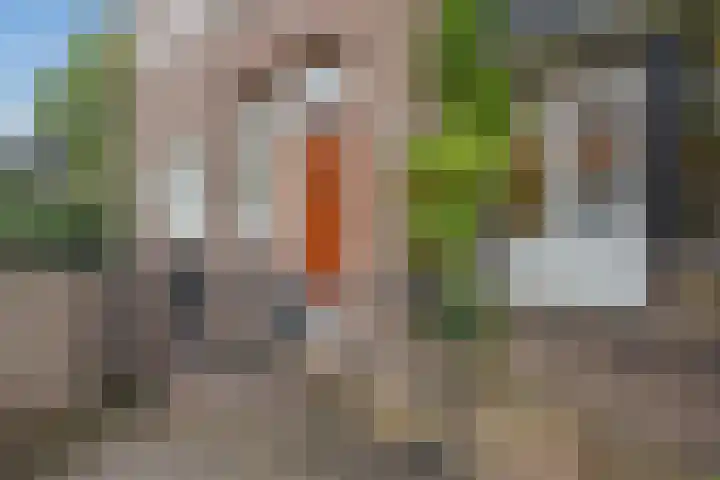 Van Dorpstraat 4 Den Haag thumbnail 4