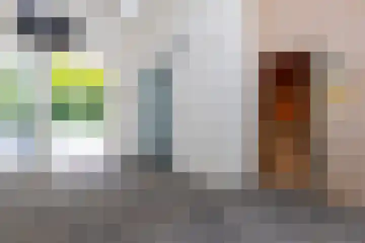 Van Driellaan 10 Huizen thumbnail 10