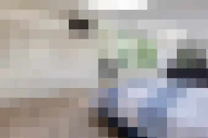 Van Driellaan 10 Huizen thumbnail 18
