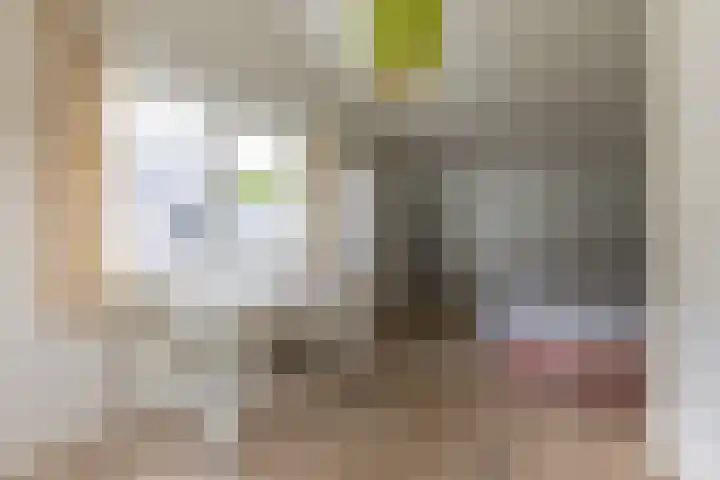 Van Driellaan 10 Huizen thumbnail 23