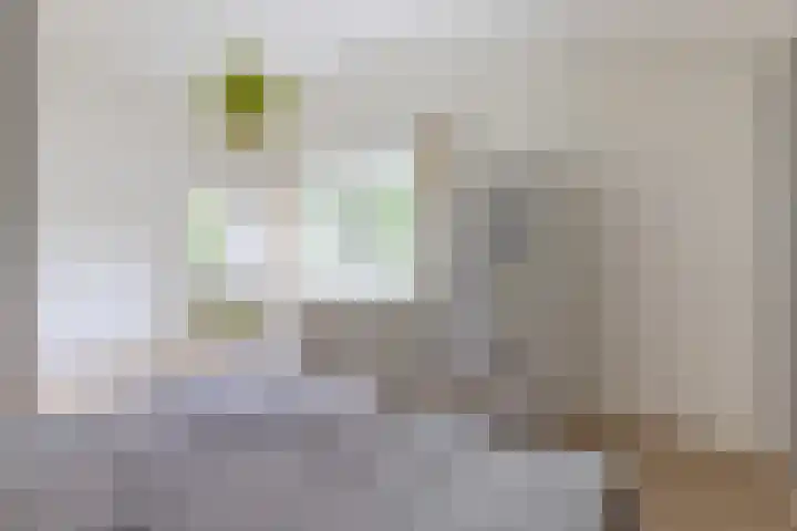 Van Driellaan 10 Huizen thumbnail 24