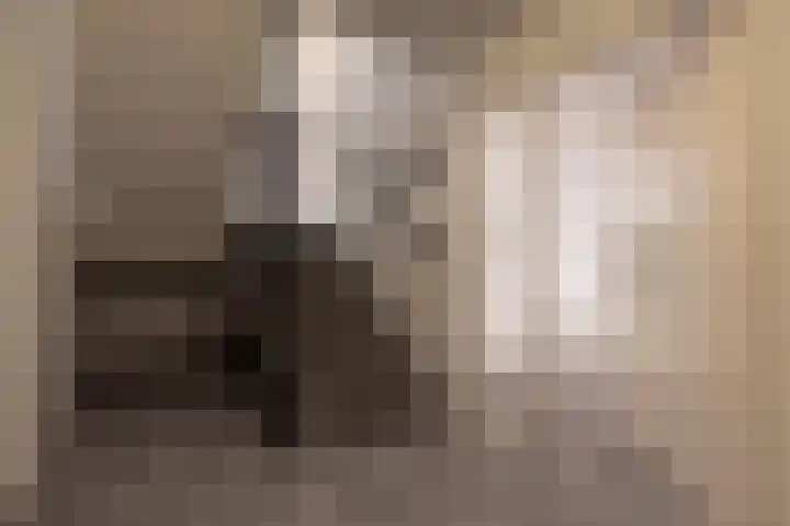 Van Driellaan 10 Huizen thumbnail 26