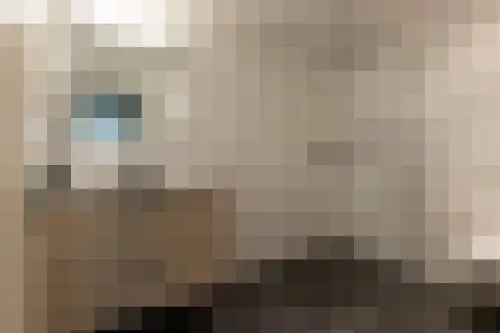 Van Driellaan 10 Huizen thumbnail 31