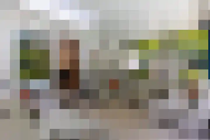 Van Driellaan 10 Huizen thumbnail 32