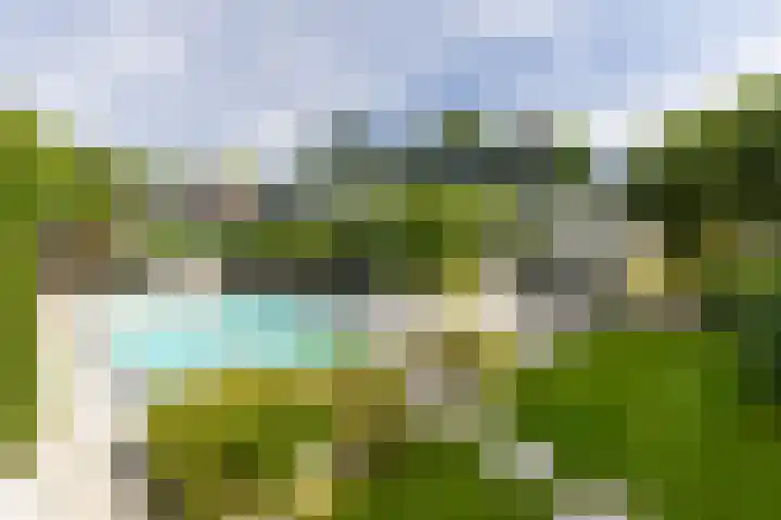 Van Driellaan 10 Huizen thumbnail 38