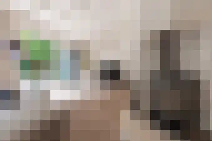 Van Driellaan 10 Huizen thumbnail 4