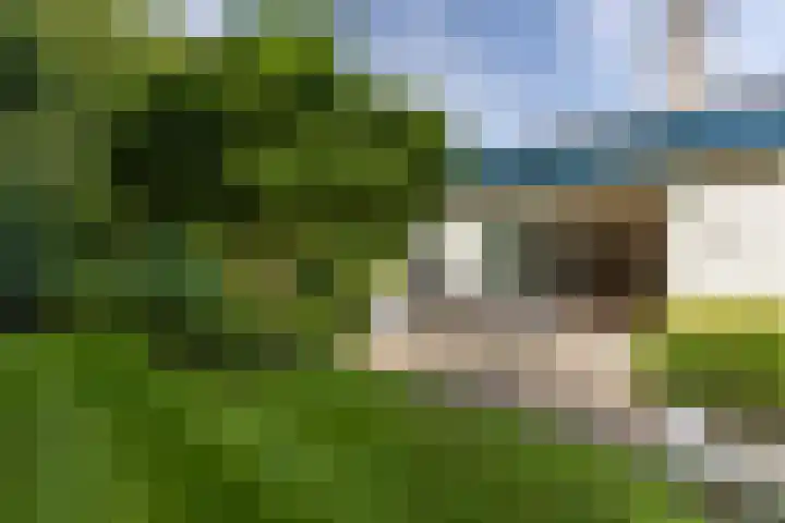 Van Driellaan 10 Huizen thumbnail 41