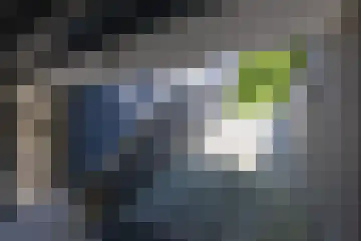 Van Driellaan 10 Huizen thumbnail 43