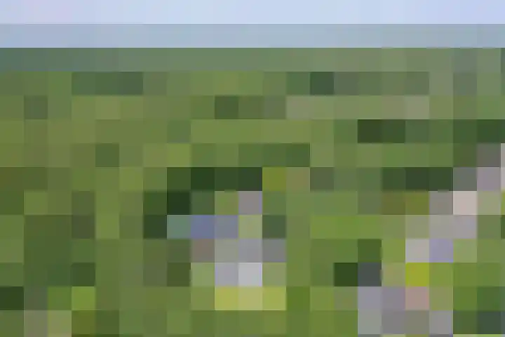 Van Driellaan 10 Huizen thumbnail 47