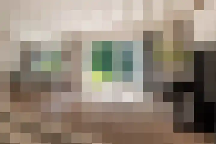 Van Driellaan 10 Huizen thumbnail 5