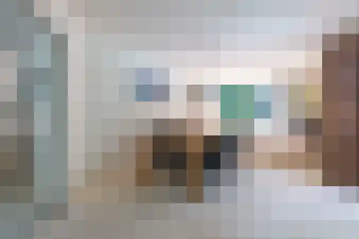 Van Driellaan 10 Huizen thumbnail 7