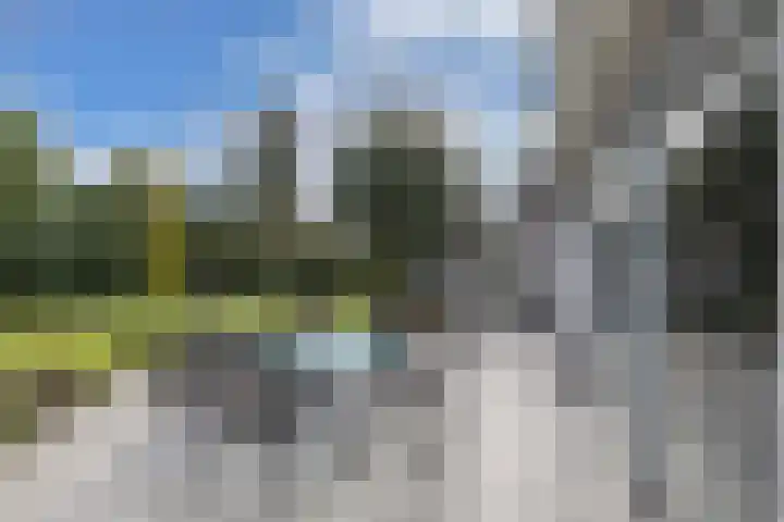 Van Driellaan 7 Huizen thumbnail 27