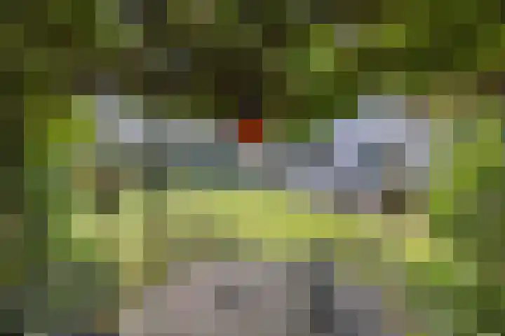 Van Driellaan 7 Huizen thumbnail 29