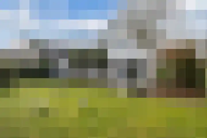 Van Driellaan 7 Huizen thumbnail 30