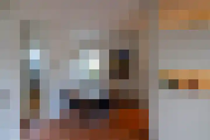 Van Drielstlaan 62 Groningen thumbnail 10