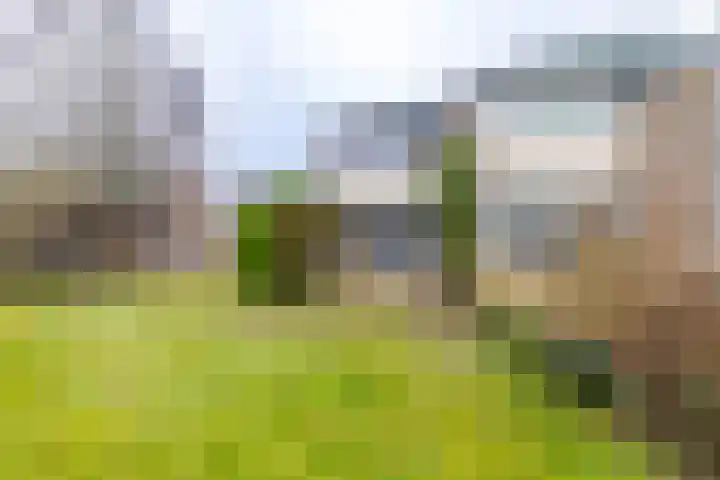 Van Drielstlaan 62 Groningen thumbnail 12