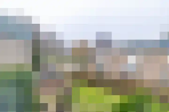 Van Drielstlaan 62 Groningen thumbnail 18