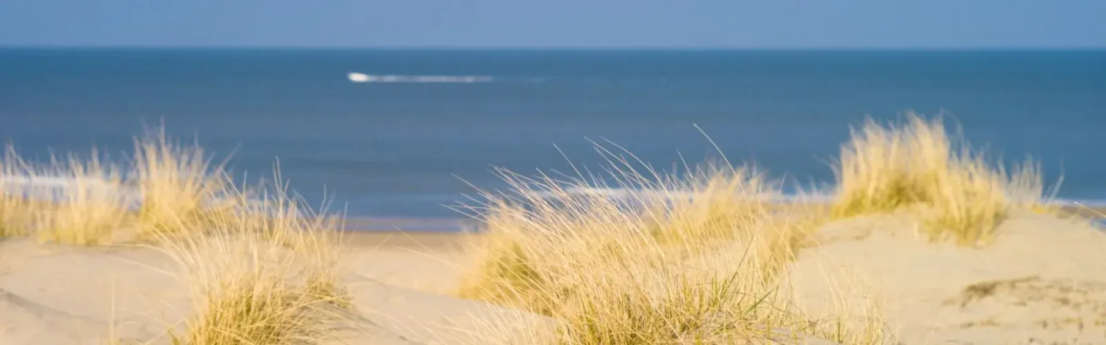 Team foto van Van Duinen Makelaars
