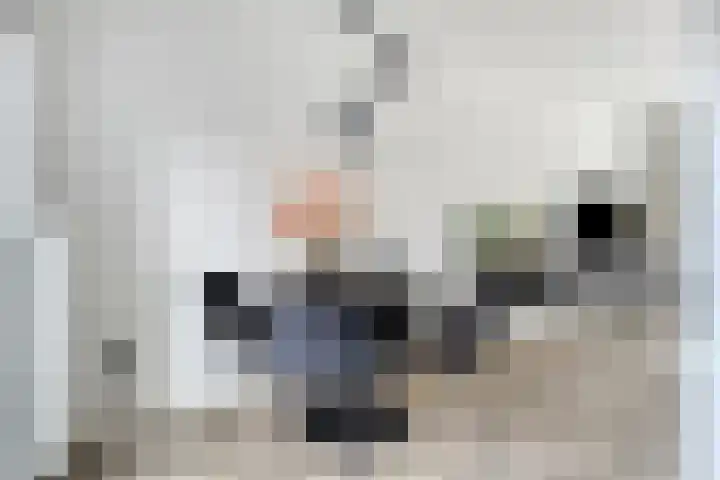 van Dusseldorpstraat 114 Goes thumbnail 14