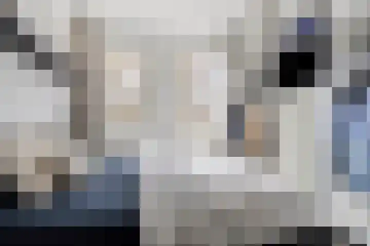 van Dusseldorpstraat 114 Goes thumbnail 22