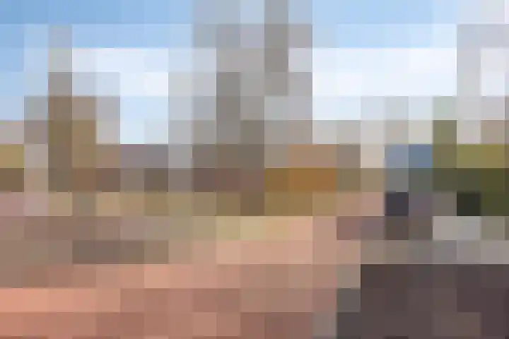 van Dusseldorpstraat 114 Goes thumbnail 35