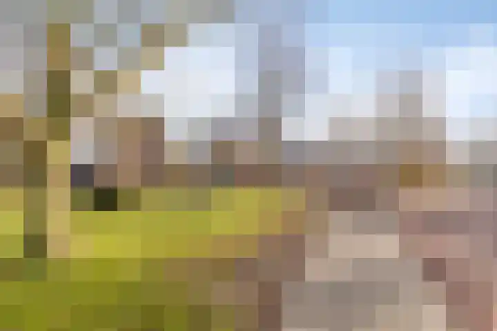 van Dusseldorpstraat 114 Goes thumbnail 36