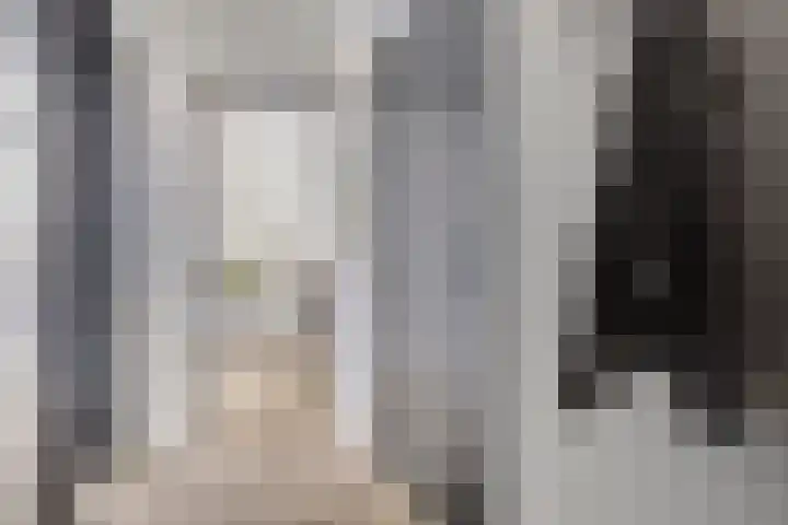 van Dusseldorpstraat 114 Goes thumbnail 8