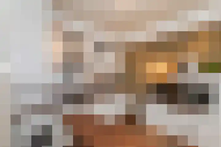 Van Eckstraat 25 Wieringerwerf thumbnail 24