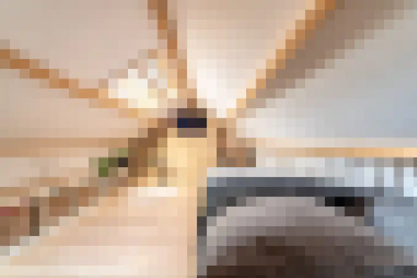 Van Eckstraat 25 Wieringerwerf thumbnail 40