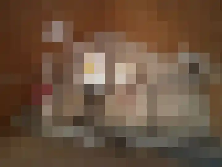 Van Eckstraat 34 Wieringerwerf thumbnail 26