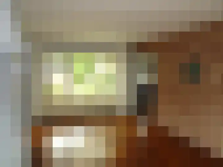Van Eckstraat 9 Wieringerwerf thumbnail 10