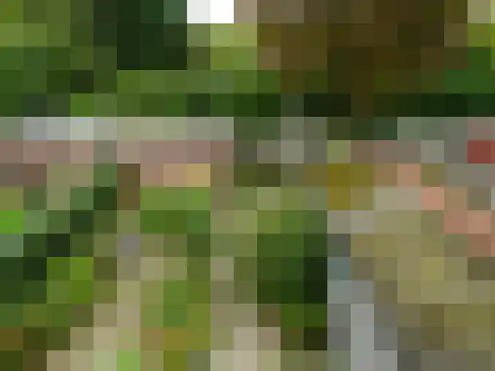 Van Eckstraat 9 Wieringerwerf thumbnail 5