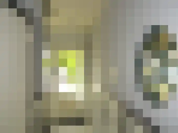 Van Eckstraat 9 Wieringerwerf thumbnail 7