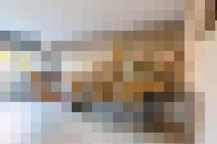 Van Egmondlaan 3 Budel thumbnail 12
