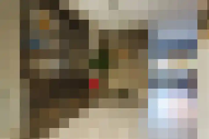 Van Egmondlaan 3 Budel thumbnail 16
