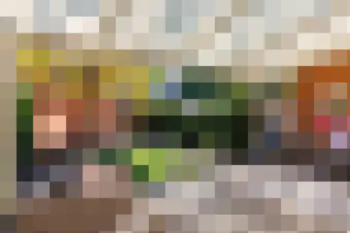 Van Egmondlaan 3 Budel thumbnail 32