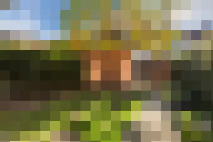 Van Egmondlaan 3 Budel thumbnail 35