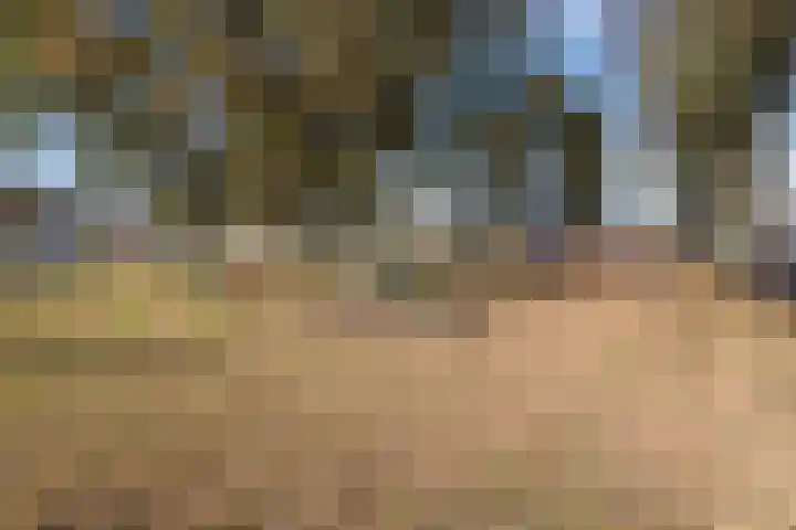 Van Egmondlaan 3 Budel thumbnail 42
