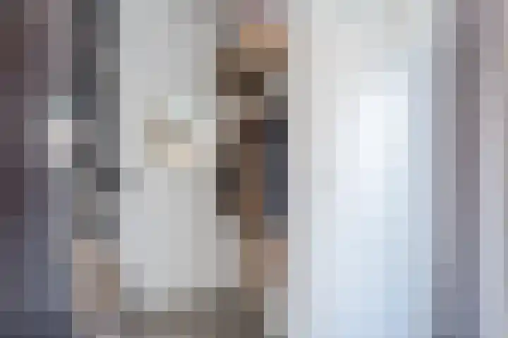 Van Egmondlaan 3 Budel thumbnail 7