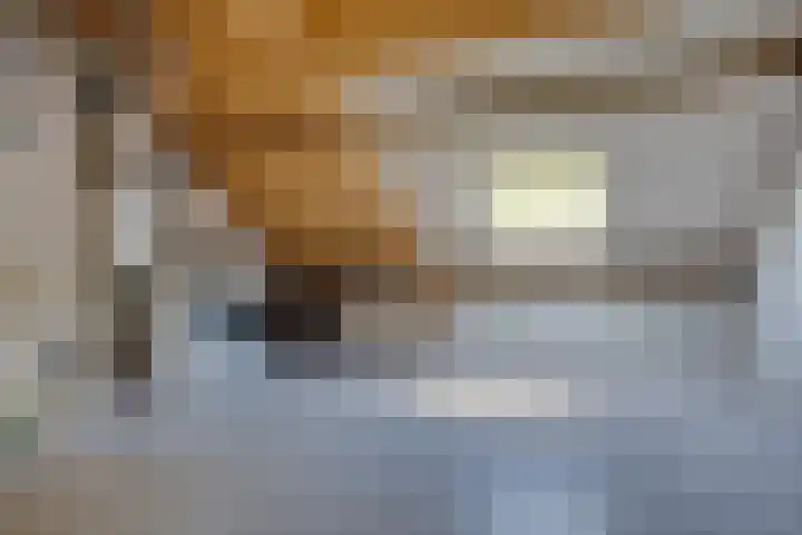 Van Eijdenhof 17 Leusden thumbnail 25