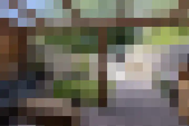 Van Eijdenhof 17 Leusden thumbnail 27